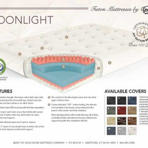 Loveseat Moonlight Futon Mattress - by Gold Bond