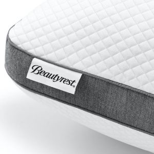 Beautyrest&reg; Absolute Relaxation&trade; Pillow